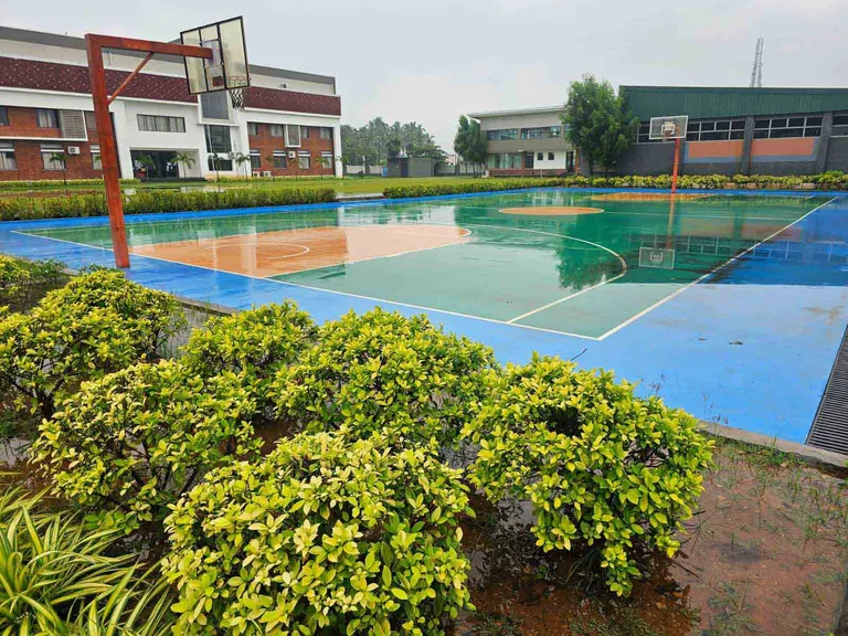 Basketball court