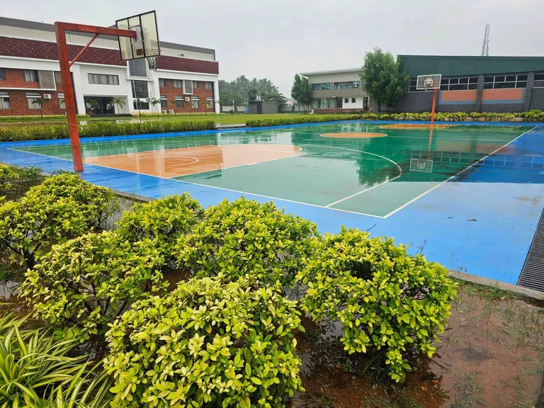 Basketball court